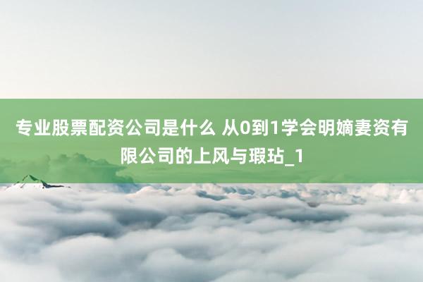 专业股票配资公司是什么 从0到1学会明嫡妻资有限公司的上风与瑕玷_1