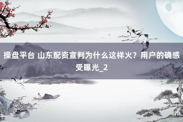 操盘平台 山东配资宣判为什么这样火？用户的确感受曝光_2